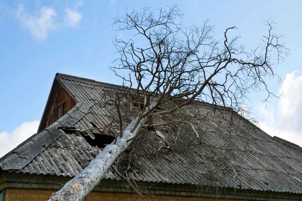 summer storm roof in Georgia